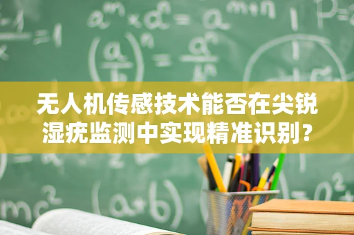 无人机传感技术能否在尖锐湿疣监测中实现精准识别？