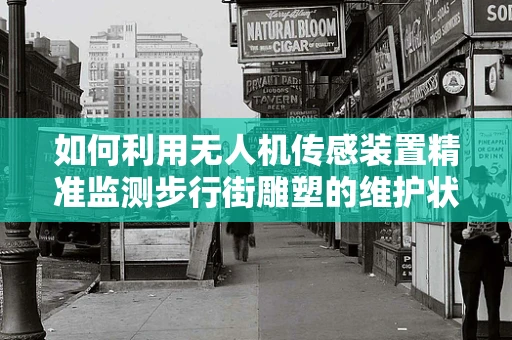 如何利用无人机传感装置精准监测步行街雕塑的维护状况？