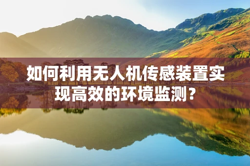 如何利用无人机传感装置实现高效的环境监测？