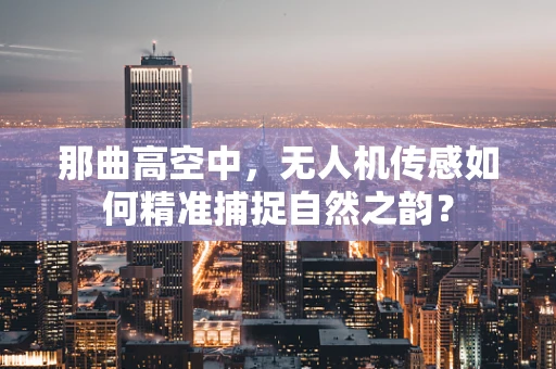 那曲高空中，无人机传感如何精准捕捉自然之韵？