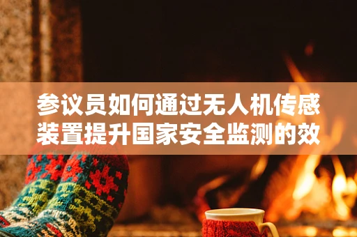 参议员如何通过无人机传感装置提升国家安全监测的效率？
