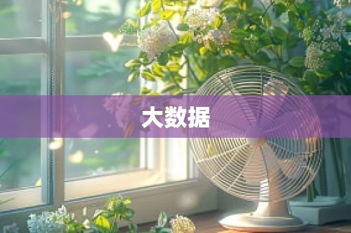 大数据
