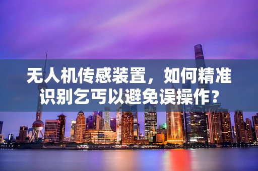 无人机传感装置，如何精准识别乞丐以避免误操作？
