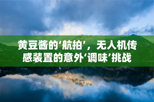 黄豆酱的‘航拍’，无人机传感装置的意外‘调味’挑战