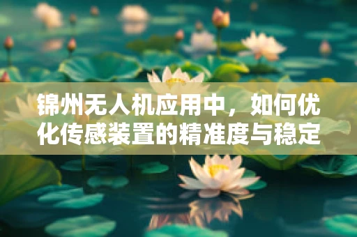 锦州无人机应用中，如何优化传感装置的精准度与稳定性？