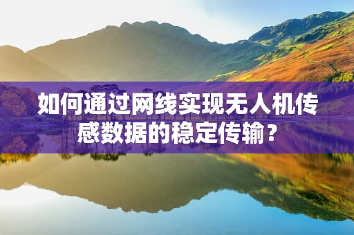 如何通过网线实现无人机传感数据的稳定传输？