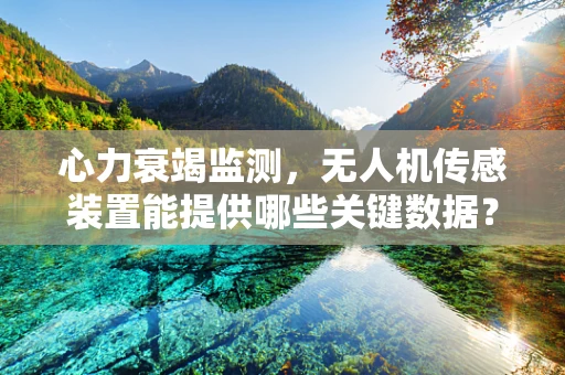 心力衰竭监测，无人机传感装置能提供哪些关键数据？