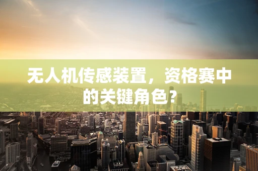无人机传感装置，资格赛中的关键角色？