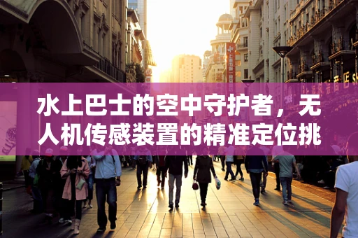 水上巴士的空中守护者，无人机传感装置的精准定位挑战