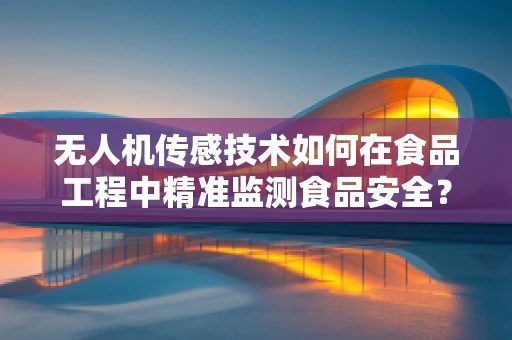 无人机传感技术如何在食品工程中精准监测食品安全？