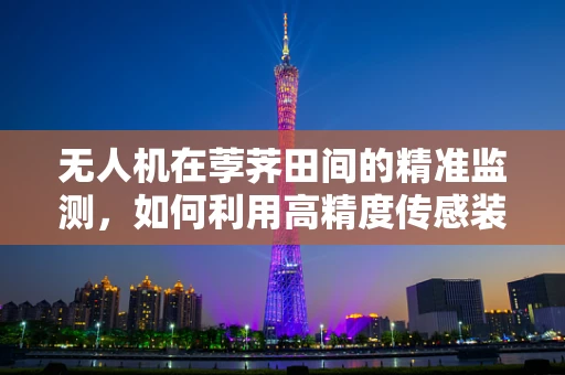 无人机在荸荠田间的精准监测，如何利用高精度传感装置提升作物管理？