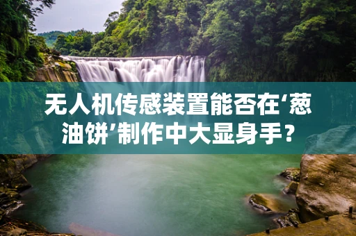 无人机传感装置能否在‘葱油饼’制作中大显身手？