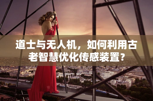 道士与无人机，如何利用古老智慧优化传感装置？
