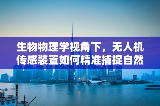 生物物理学视角下，无人机传感装置如何精准捕捉自然界的微妙变化？