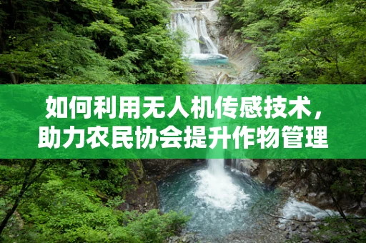 如何利用无人机传感技术，助力农民协会提升作物管理效率？