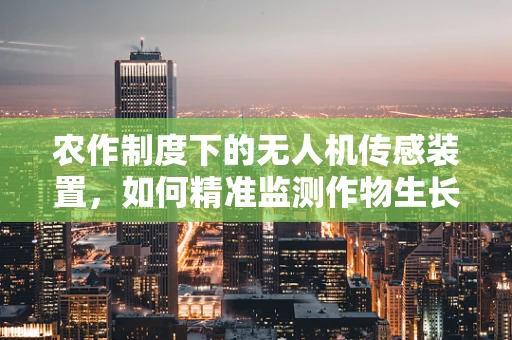 农作制度下的无人机传感装置，如何精准监测作物生长？
