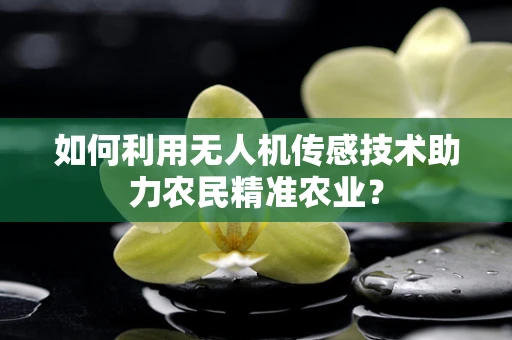 如何利用无人机传感技术助力农民精准农业？