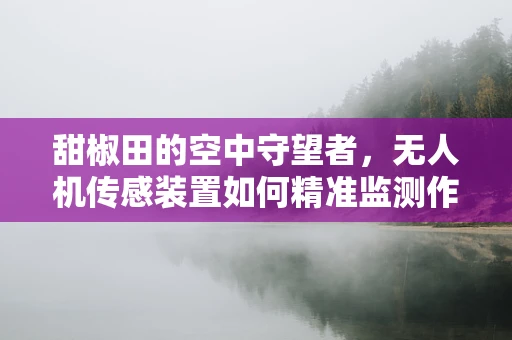 甜椒田的空中守望者，无人机传感装置如何精准监测作物健康？