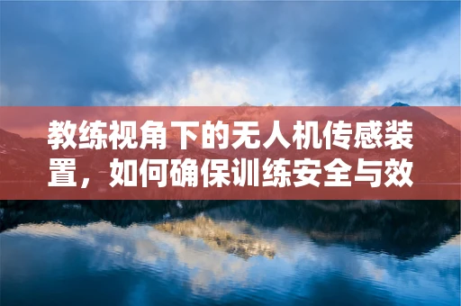 教练视角下的无人机传感装置，如何确保训练安全与效率？