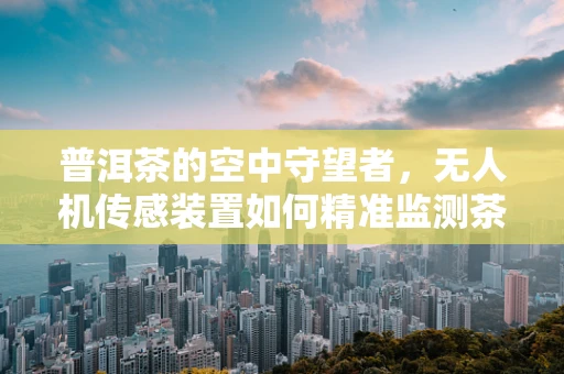 普洱茶的空中守望者，无人机传感装置如何精准监测茶园生态？