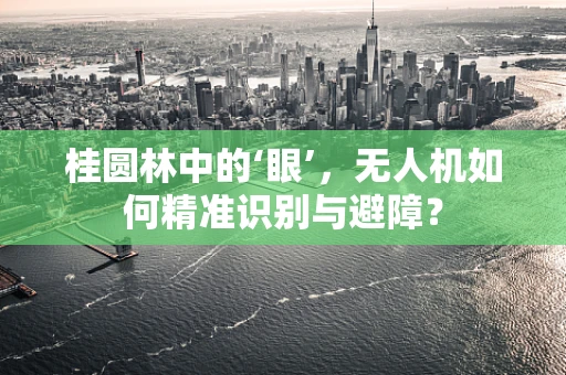 桂圆林中的‘眼’，无人机如何精准识别与避障？