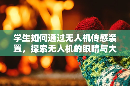 学生如何通过无人机传感装置，探索无人机的眼睛与大脑？