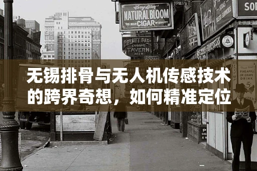无锡排骨与无人机传感技术的跨界奇想，如何精准定位食材运输的‘味觉’坐标？