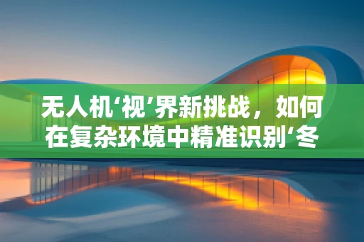无人机‘视’界新挑战，如何在复杂环境中精准识别‘冬瓜’？
