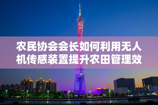 农民协会会长如何利用无人机传感装置提升农田管理效率？