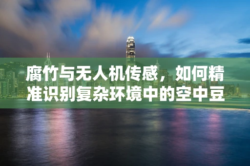 腐竹与无人机传感，如何精准识别复杂环境中的空中豆腐皮？