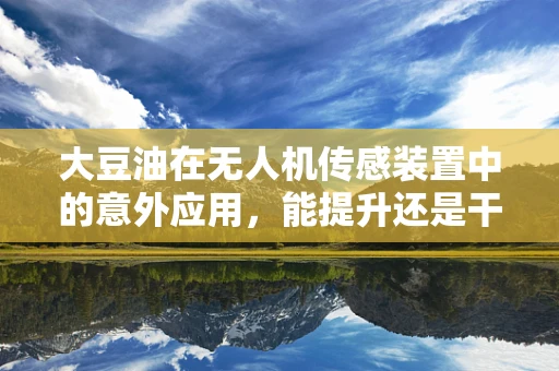 大豆油在无人机传感装置中的意外应用，能提升还是干扰？