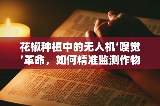花椒种植中的无人机‘嗅觉’革命，如何精准监测作物健康？