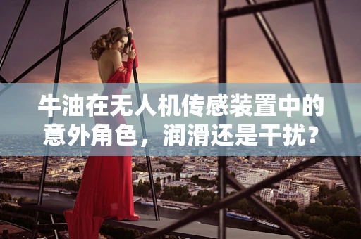 牛油在无人机传感装置中的意外角色，润滑还是干扰？