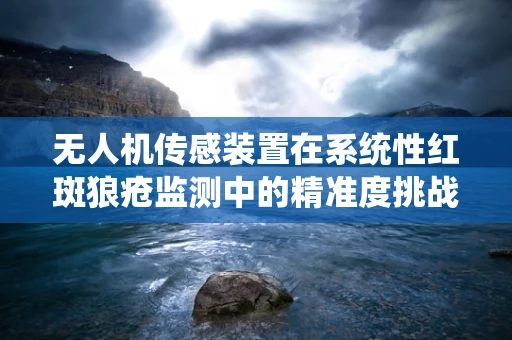 无人机传感装置在系统性红斑狼疮监测中的精准度挑战