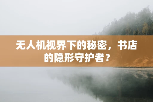 无人机视界下的秘密，书店的隐形守护者？