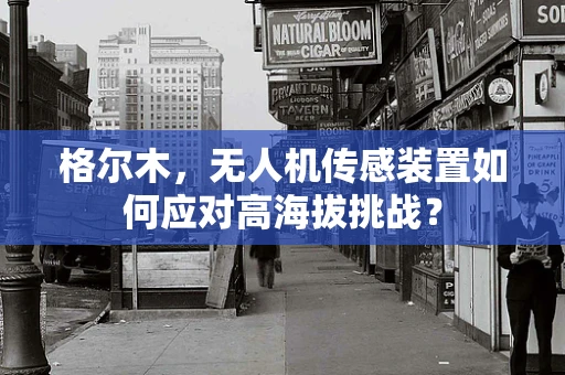 格尔木，无人机传感装置如何应对高海拔挑战？