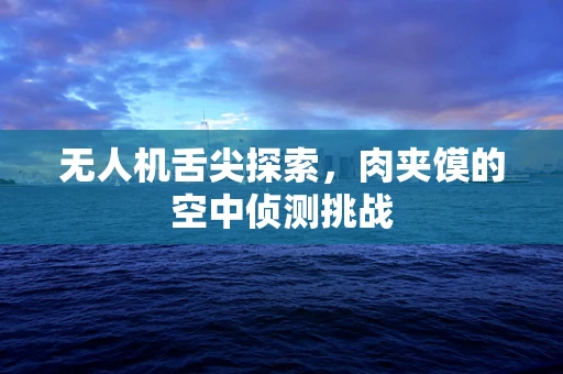 无人机舌尖探索，肉夹馍的空中侦测挑战