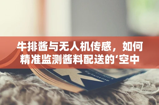牛排酱与无人机传感，如何精准监测酱料配送的‘空中厨师’？