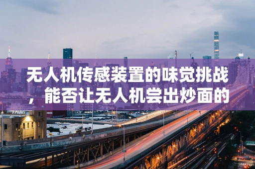 无人机传感装置的味觉挑战，能否让无人机尝出炒面的美味？