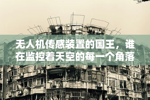无人机传感装置的国王，谁在监控着天空的每一个角落？