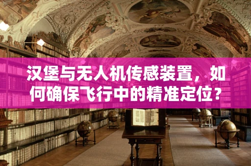 汉堡与无人机传感装置，如何确保飞行中的精准定位？