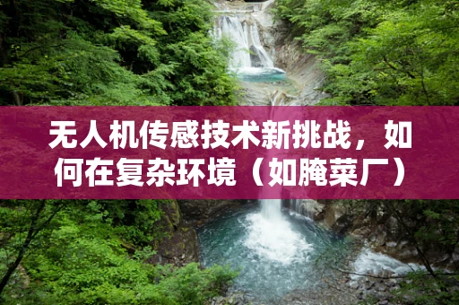 无人机传感技术新挑战，如何在复杂环境（如腌菜厂）中精准定位？