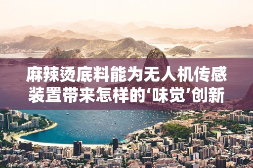 麻辣烫底料能为无人机传感装置带来怎样的‘味觉’创新？