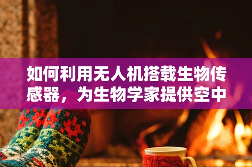 如何利用无人机搭载生物传感器，为生物学家提供空中研究新视角？