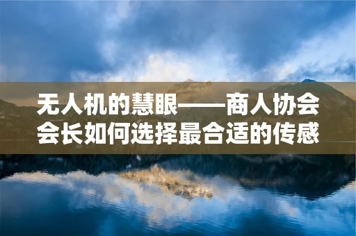 无人机的慧眼——商人协会会长如何选择最合适的传感装置？