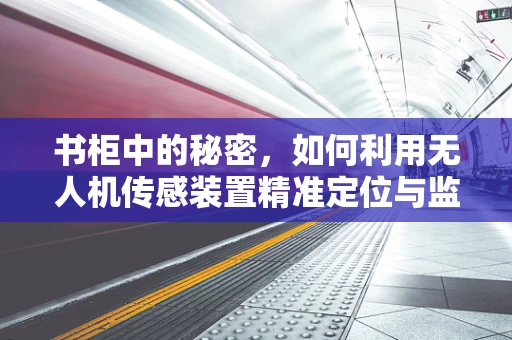 书柜中的秘密，如何利用无人机传感装置精准定位与监测？