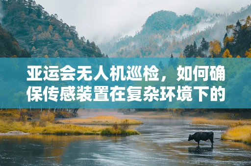 亚运会无人机巡检，如何确保传感装置在复杂环境下的精准与稳定？