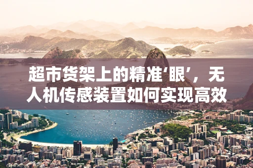 超市货架上的精准‘眼’，无人机传感装置如何实现高效监控？