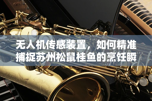 无人机传感装置，如何精准捕捉苏州松鼠桂鱼的烹饪瞬间？