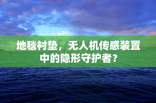 地毯衬垫，无人机传感装置中的隐形守护者？